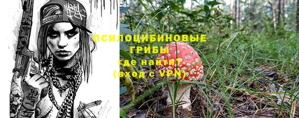 jwh Пересвет