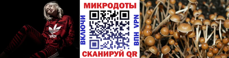 Псилоцибиновые грибы Cubensis Сычёвка